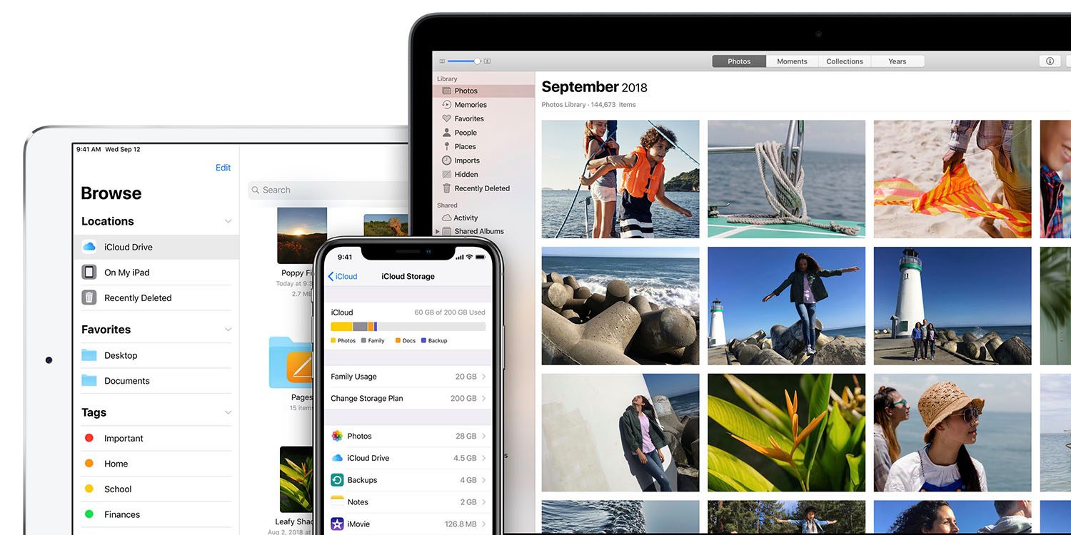 download all images from ipad to mac free